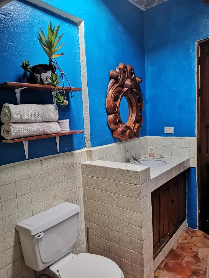 La Casa Del Abuelo Hostel Σαν Μιγκέλ ντε Αγιέντε Εξωτερικό φωτογραφία