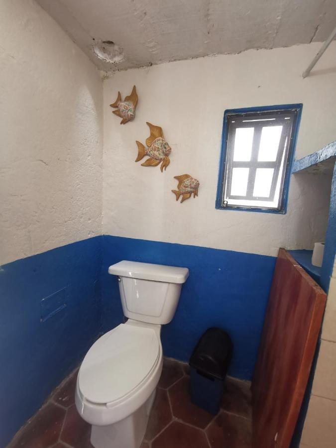 La Casa Del Abuelo Hostel Σαν Μιγκέλ ντε Αγιέντε Εξωτερικό φωτογραφία