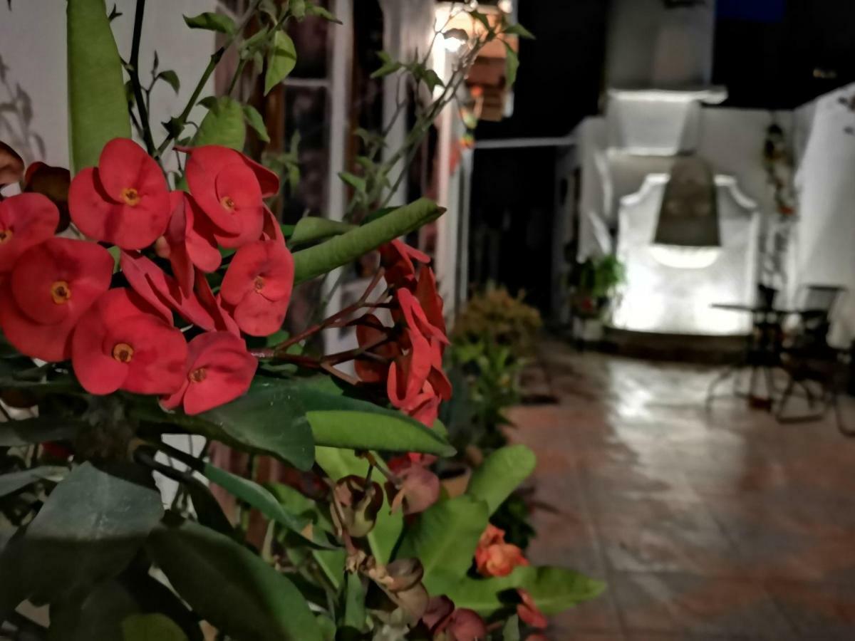 La Casa Del Abuelo Hostel Σαν Μιγκέλ ντε Αγιέντε Εξωτερικό φωτογραφία
